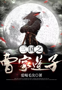 三國之曹家逆子