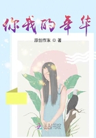 你我的年华