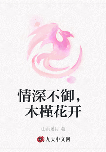 情深不御，木槿花開
