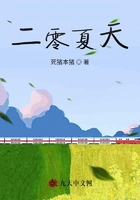 二零夏天在線閱讀