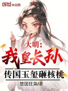 大明：我皇長孫，傳國玉璽砸核桃在線閱讀