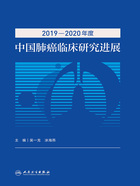 2019—2020年度中国肺癌临床研究进展在线阅读