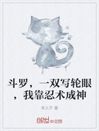 斗罗,一双写轮眼,我靠忍术成神在线阅读