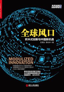 全球風口：積木式創新與中國新機遇