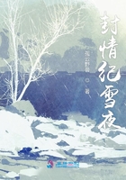 封情纪雪夜在线阅读