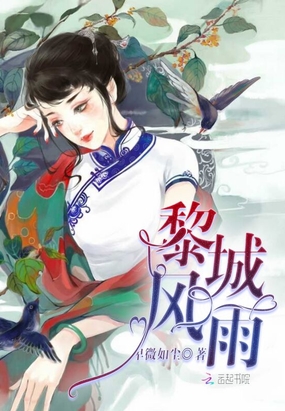 梨城风雨在线阅读