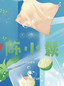 天才少女陳小鬏