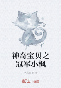 神奇寶貝之冠軍小楓