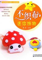 不织布迷你饰物在线阅读