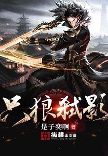 只狼弒影