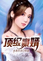 顶级豪婿在线阅读