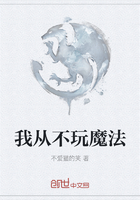 我從不玩魔法在線閱讀