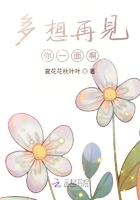多想再見你一面啊在線閱讀