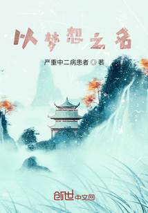以梦想之名