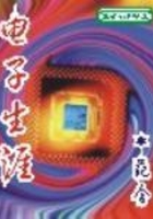 电子生涯