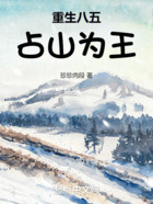 重生八五，占山为王在线阅读