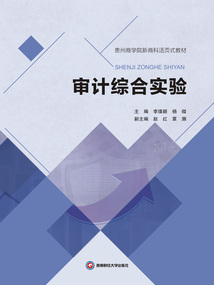 審計綜合實驗