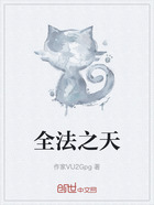 全法之天在线阅读