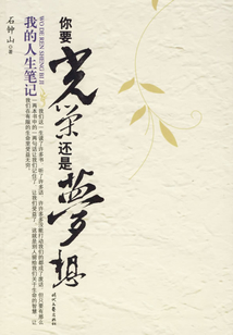 你要光榮還是夢想：我的人生筆記