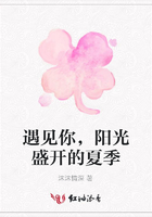 遇見你，陽光盛開的夏季在線閱讀
