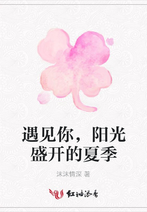 遇見你,陽光盛開的夏季