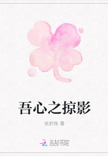 吾心之掠影