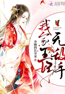 我家王妃無敵手