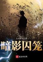 暗影囚籠在線閱讀