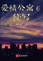 爱情公寓6续写