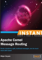 Instant Apache Camel Message Routing在線閱讀