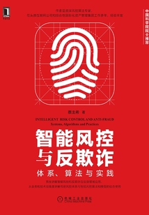 智能風控與反欺詐:體系、算法與實踐