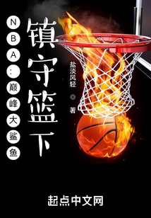 NBA：巅峰大鲨鱼，镇守篮下！在线阅读