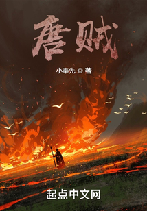 唐賊