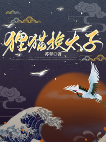 貍貓換太子