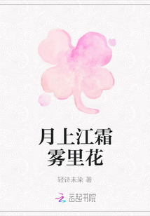 月上江霜雾里花