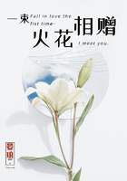 一束火花相贈在線閱讀