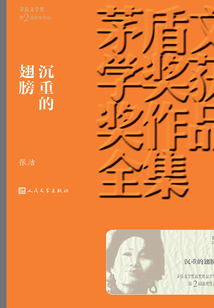 沉重的翅膀