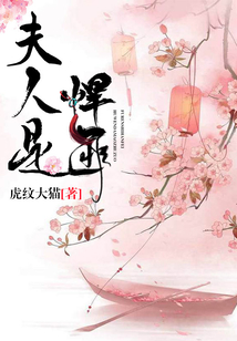 夫人是悍匪