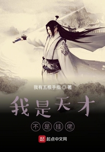 我是天才不是掛佬