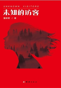 未知的访客