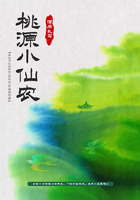 桃源小仙农