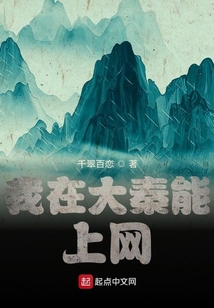 我在大秦能上網