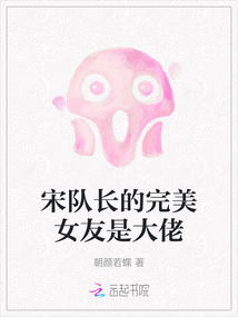 宋隊長的完美女友是大佬