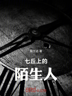 七丘上的陌生人在线阅读