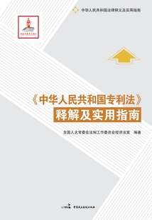《中华人民共和国专利法》释解及实用指南