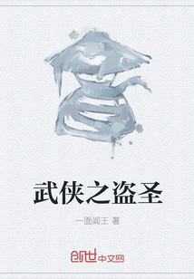 武俠之盜圣