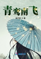 青鸞南飛在線閱讀
