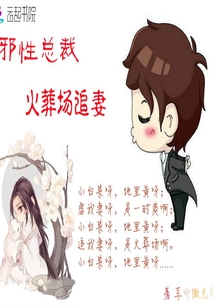 霸總火葬場追妻