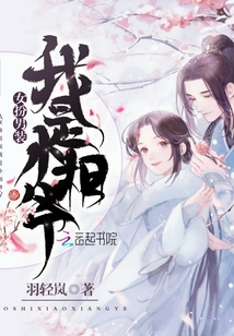 女扮男裝我是小相爺
