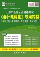 上海市会计从业资格考试《会计电算化》专用教材【考纲分析＋考点精讲＋真题演练＋强化习题】在线阅读